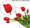 15pcs Artificial Tulips Flowers, Latex Bouquet, Fake Tulips for Office Wedding Party Home Kitchen Garden Decoration(Red,15pcs)